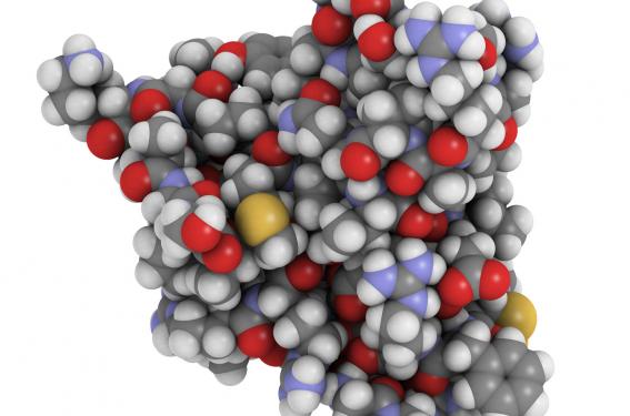 Comment gérer un diabète de type 1 instable ? | Diabétologie Pratique